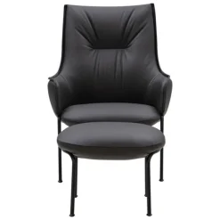 Aloe High Back Lounge Chair