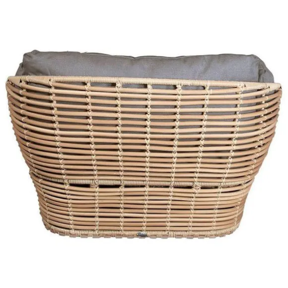 Basket Lounge Chair