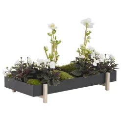 Botanic Tray