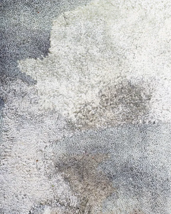 Cape Brett Rug