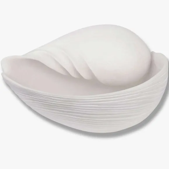 Conch Shell