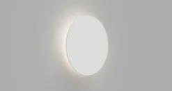 Contour Wall/Ceiling Light