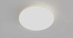 Contour Wall/Ceiling Light