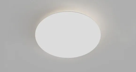 Contour Wall/Ceiling Light