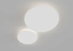 Contour Wall/Ceiling Light