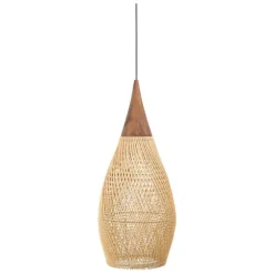 dBodhi Horn Pendant Lamp
