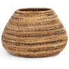 dBodhi Java Planter