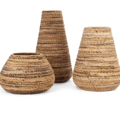 dBodhi Java Planter