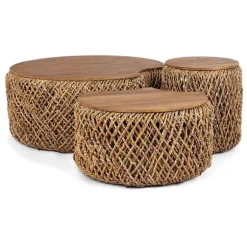 dBodhi Knut Padi Coffee Table - Set B