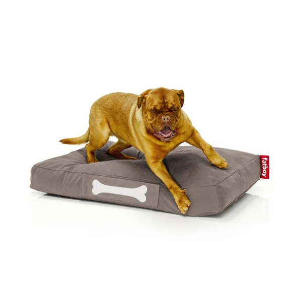 Doggielounge