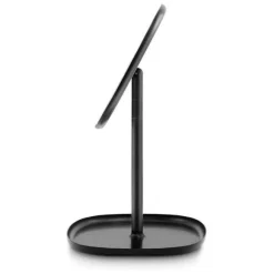 Flip Mirror