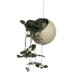 Globe Hanging Flowerpot
