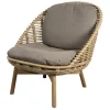 Hive Lounge Chair