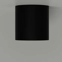 Illumine Ceiling Light