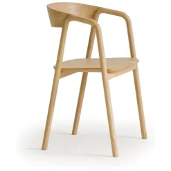 Inlay Dining Chair