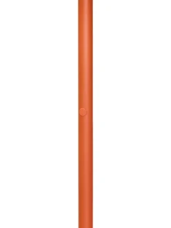 Jolly Trolley