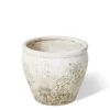 Lulima Pot