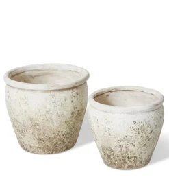 Lulima Pot