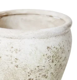 Lulima Pot