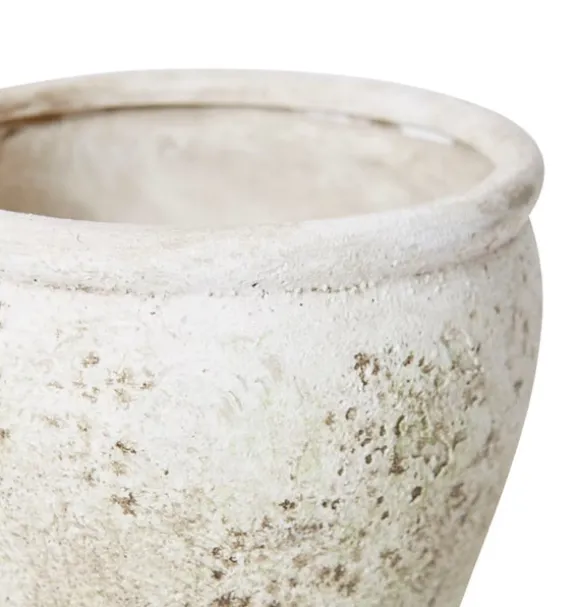 Lulima Pot