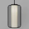 Map Lite Pendant Light