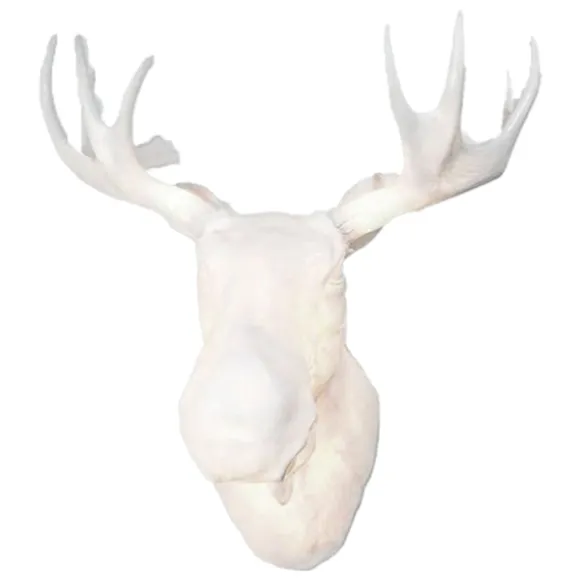 Moo Wall Light
