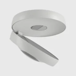 Nautilus Ceiling Light