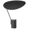 Ombre Table Lamp
