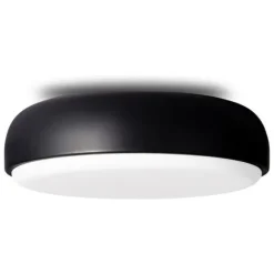 Over Me Wall/Ceiling Light
