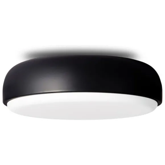 Over Me Wall/Ceiling Light