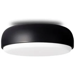 Over Me Wall/Ceiling Light
