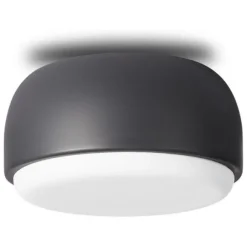 Over Me Wall/Ceiling Light