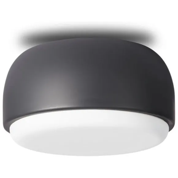 Over Me Wall/Ceiling Light