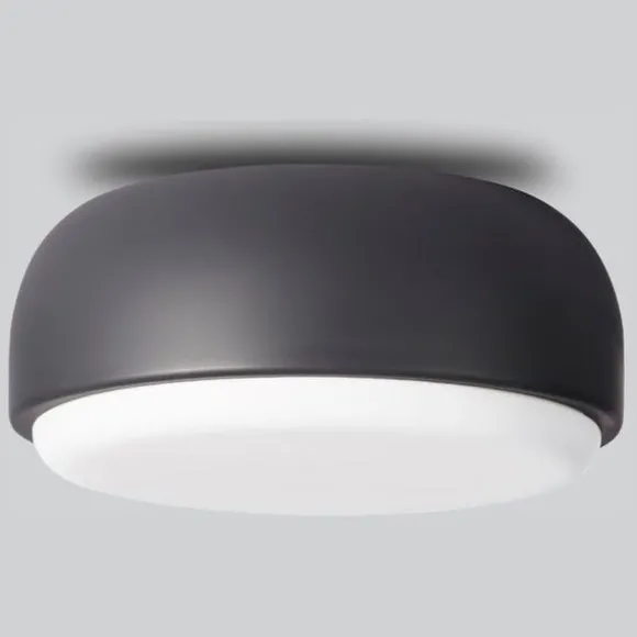 Over Me Wall/Ceiling Light