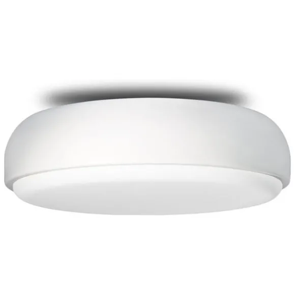 Over Me Wall/Ceiling Light