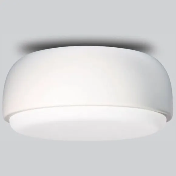 Over Me Wall/Ceiling Light