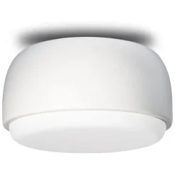 Over Me Wall/Ceiling Light