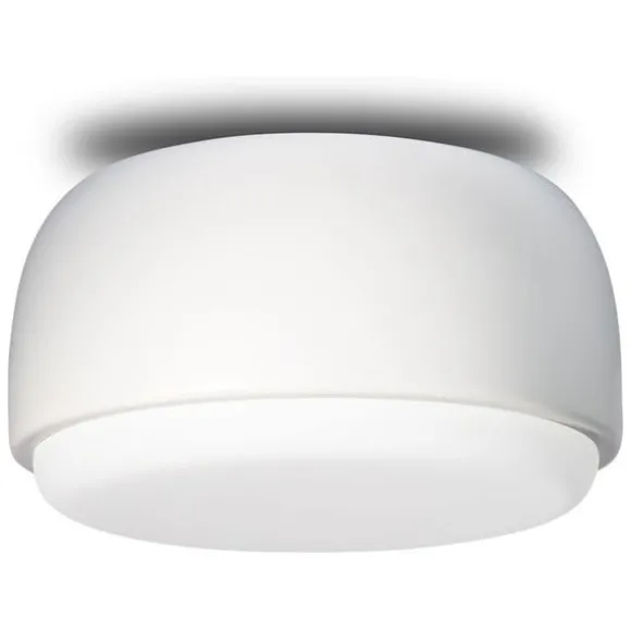 Over Me Wall/Ceiling Light