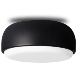 Over Me Wall/Ceiling Light