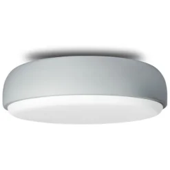 Over Me Wall/Ceiling Light