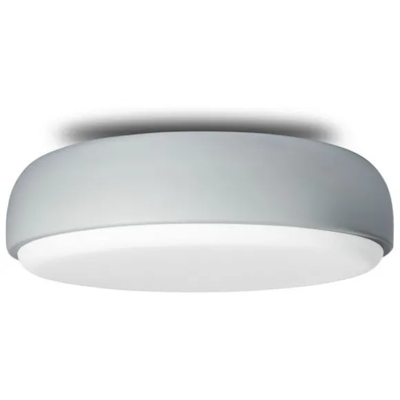 Over Me Wall/Ceiling Light
