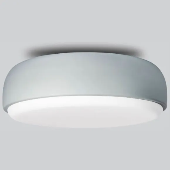 Over Me Wall/Ceiling Light