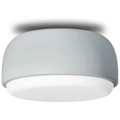 Over Me Wall/Ceiling Light
