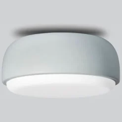 Over Me Wall/Ceiling Light