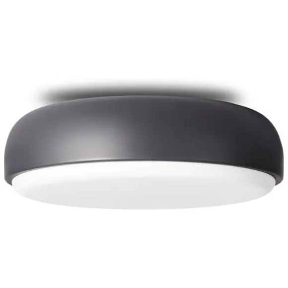 Over Me Wall/Ceiling Light