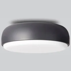 Over Me Wall/Ceiling Light