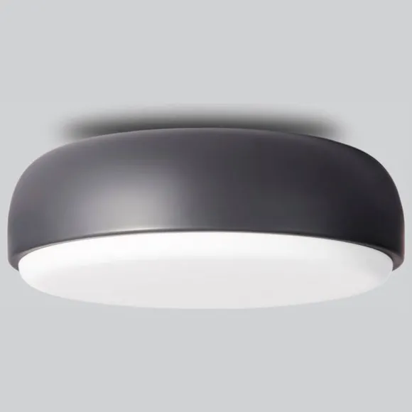 Over Me Wall/Ceiling Light