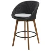 Peacock Bar Chair