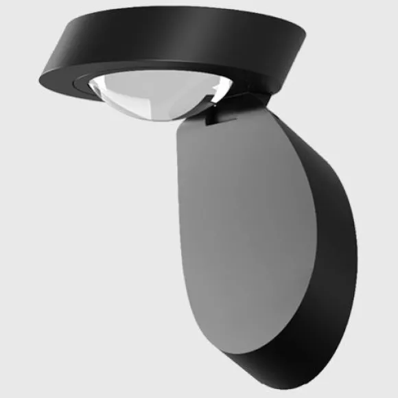 Pin-Up Wall/Ceiling Light