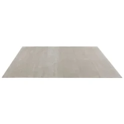Raya Rug